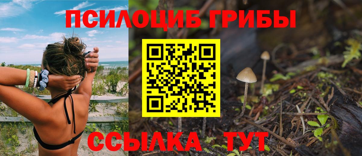 Псилоцибиновые грибы MAGIC MUSHROOMS  наркота  Ревда  Вход с VPN  Псилоцибиновые грибы ЛСД 