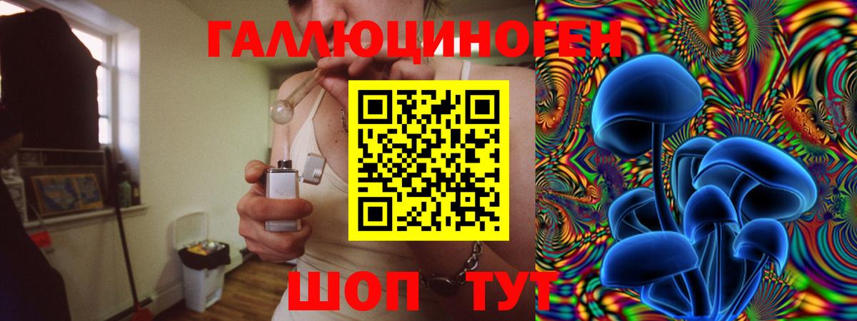 Галлюциногенные грибы Psilocybine cubensis Ревда
