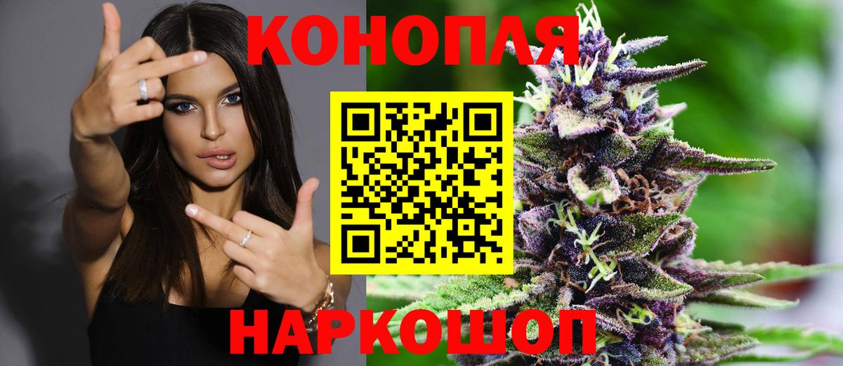 Бошки Шишки планчик Ревда